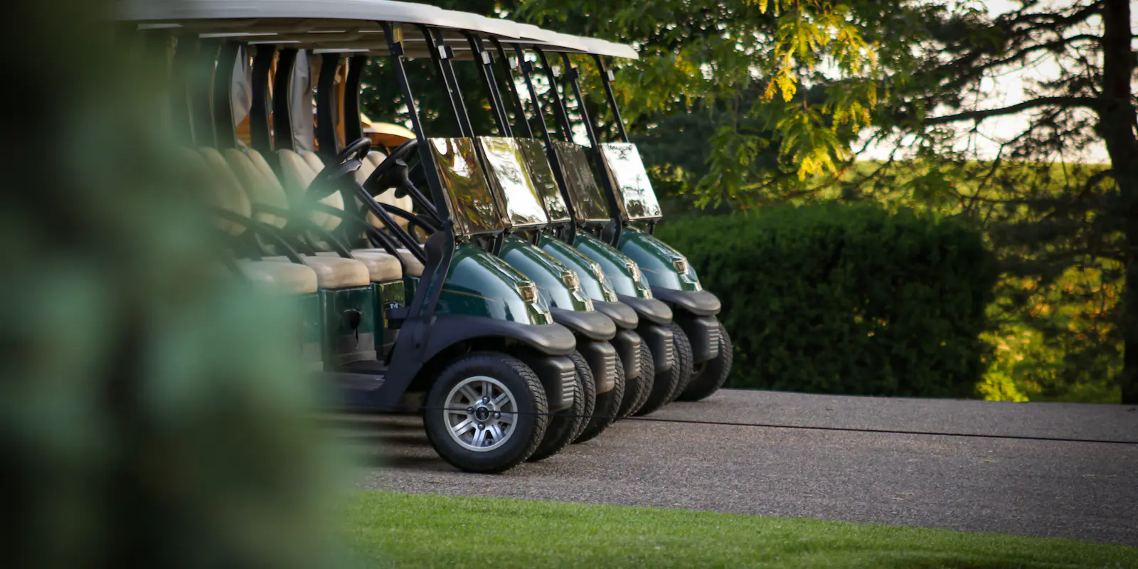 Row of golf carts parked under trees at a golf course